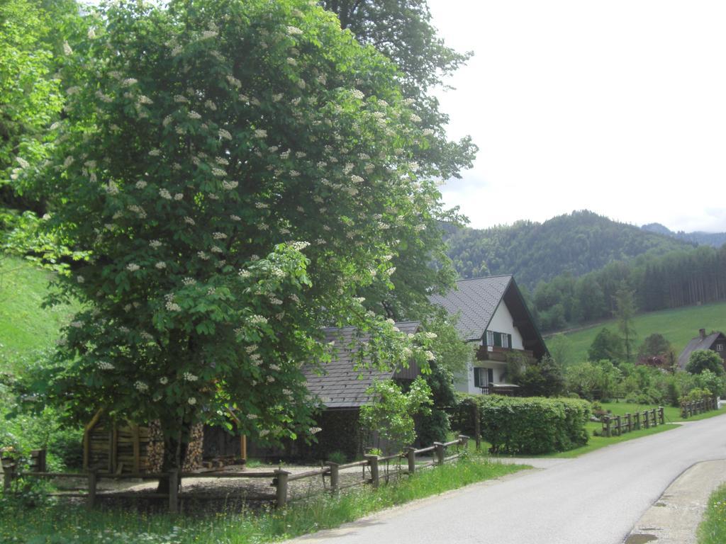 Ferienwohnung Lange เกิสต์ลิง อัน แดร์อิบส์ ภายนอก รูปภาพ