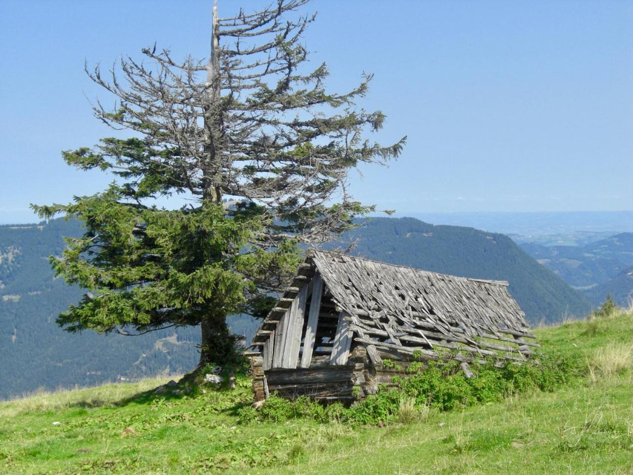 Ferienwohnung Lange เกิสต์ลิง อัน แดร์อิบส์ ภายนอก รูปภาพ
